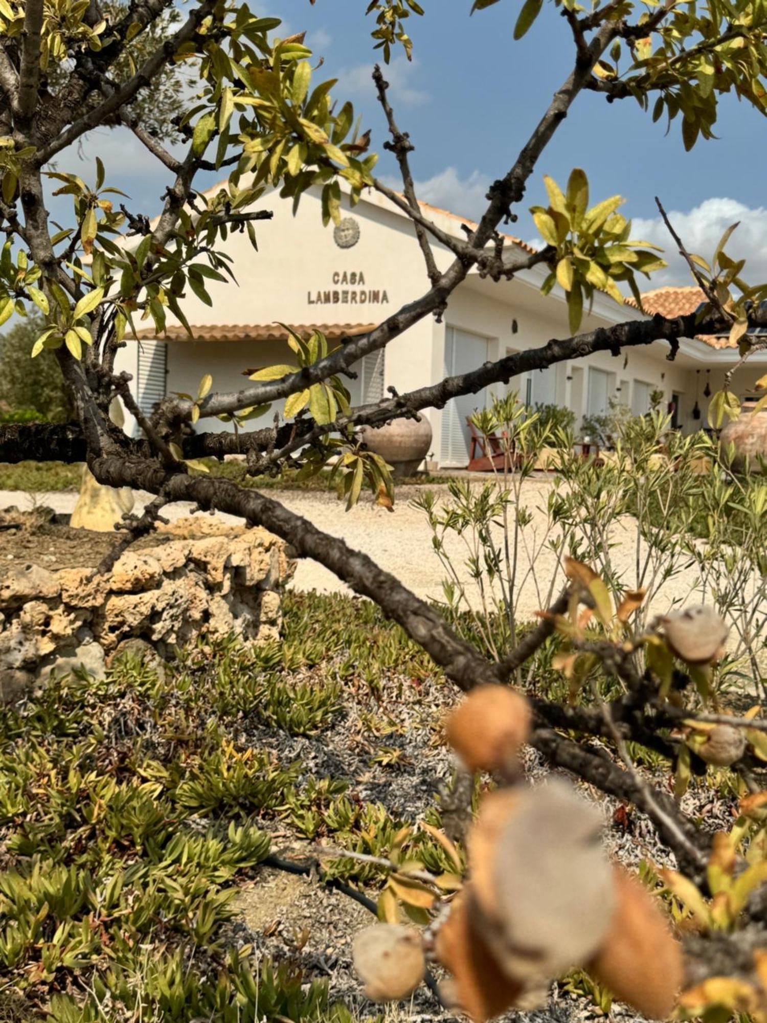 Casa Lamberdina Bed & Breakfast Fuensanta  ภายนอก รูปภาพ