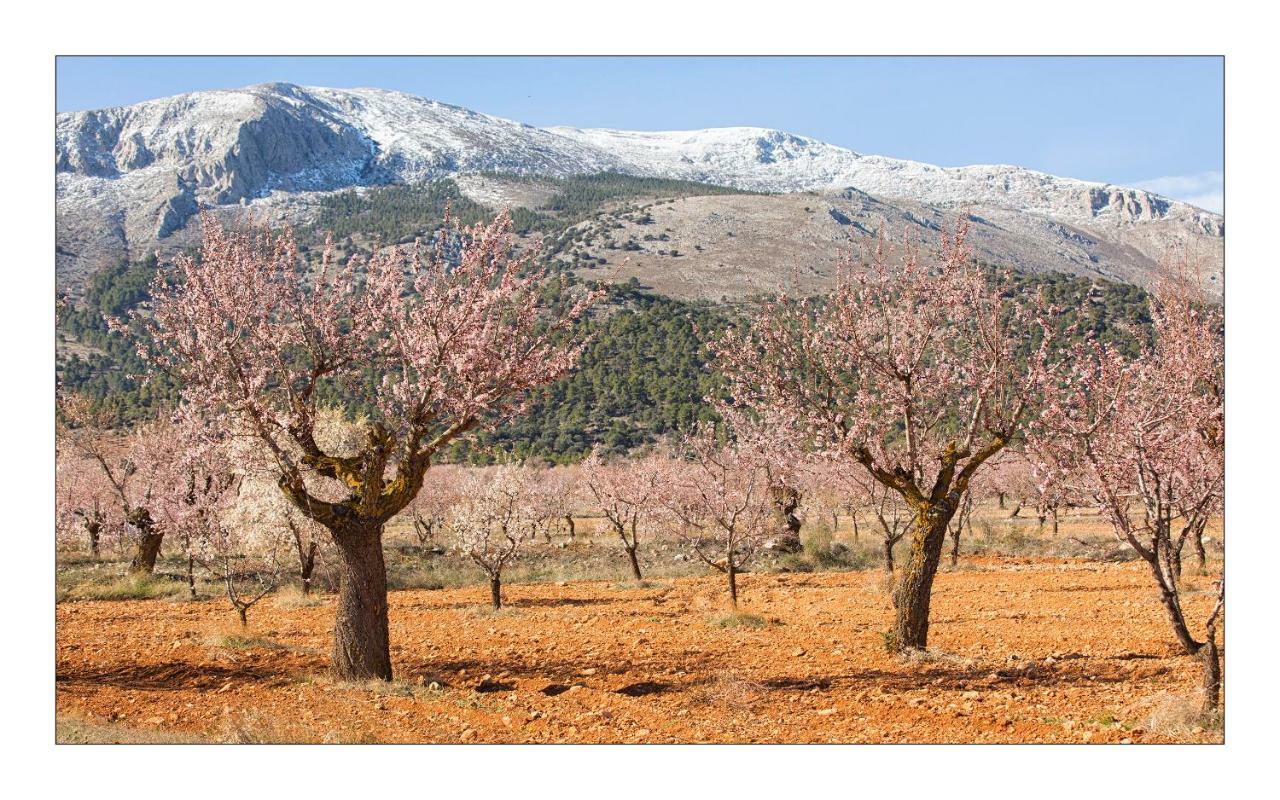 Casa Lamberdina Bed & Breakfast Fuensanta  ภายนอก รูปภาพ